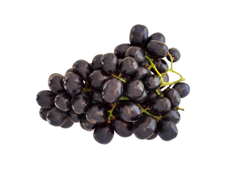 Black Seedless Grapes