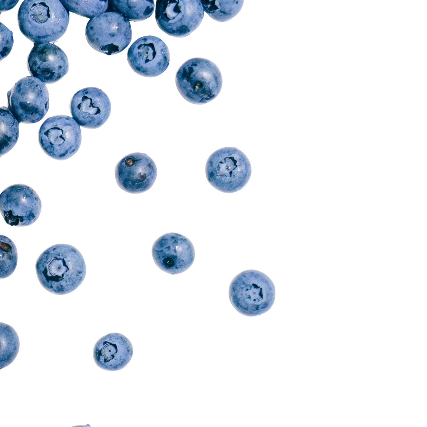 Frozen Blueberries