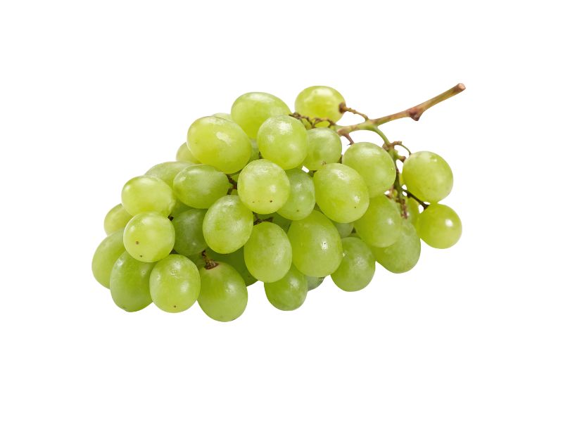 Green Seedless Grapes