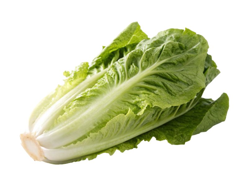 Lettuce
