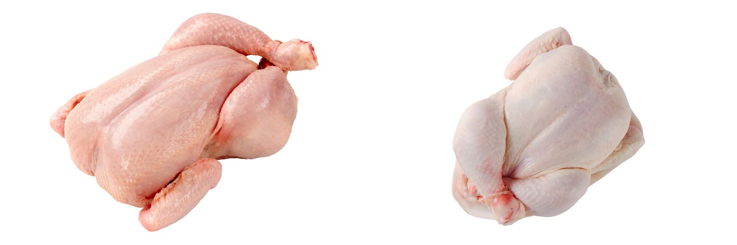 Whole Chicken Griller