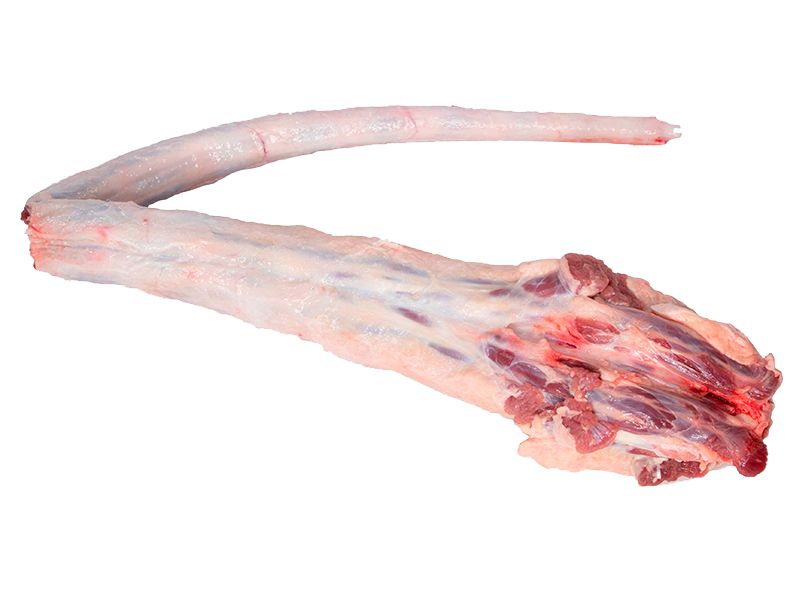 Inside Cap — Image 1